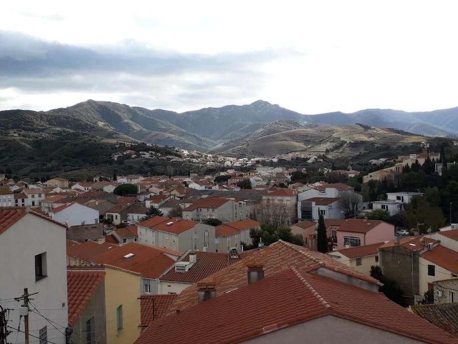 Banyuls La Grande Bleue : Studio T1 Eksteriør billede